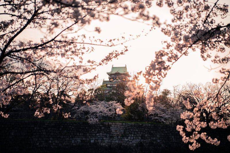 pexels.com/Satoshi Hirayama