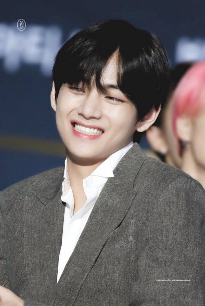 V BTS (twitter.com/visionoflove_95)