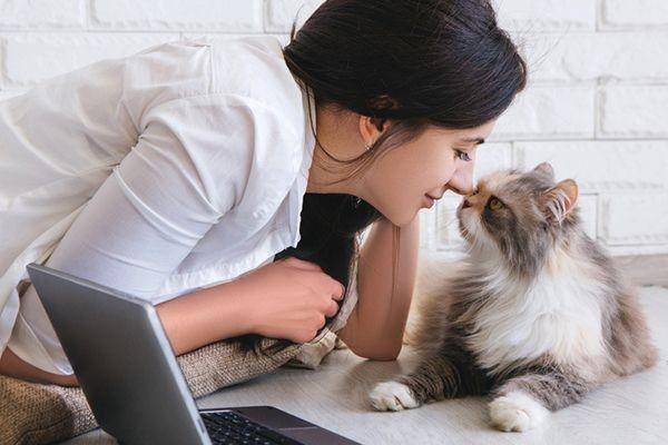 catster.com