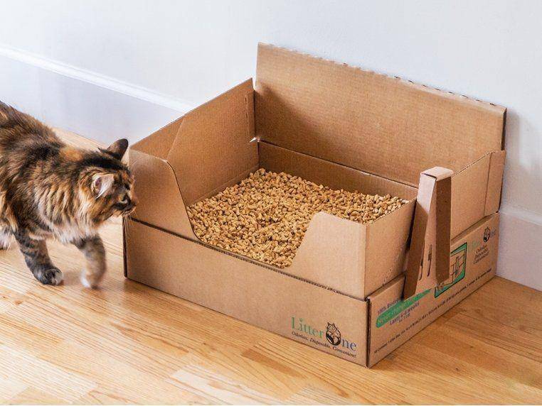 thegrommet.com
