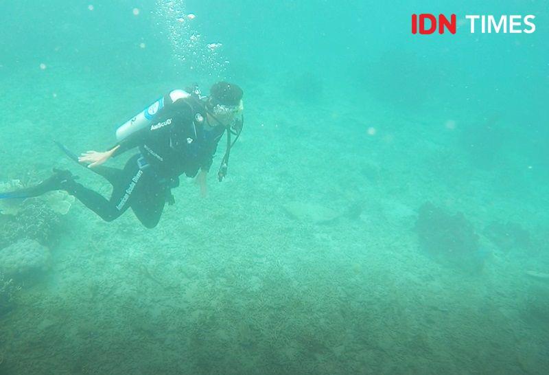 Tiga Gugus Terumbu Karang di Kepulauan Derawan Segera Direhabilitasi