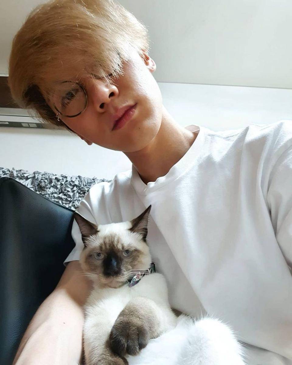 Ten NCT dan kucing peliharaan (instagram.com/tenlee_1001)