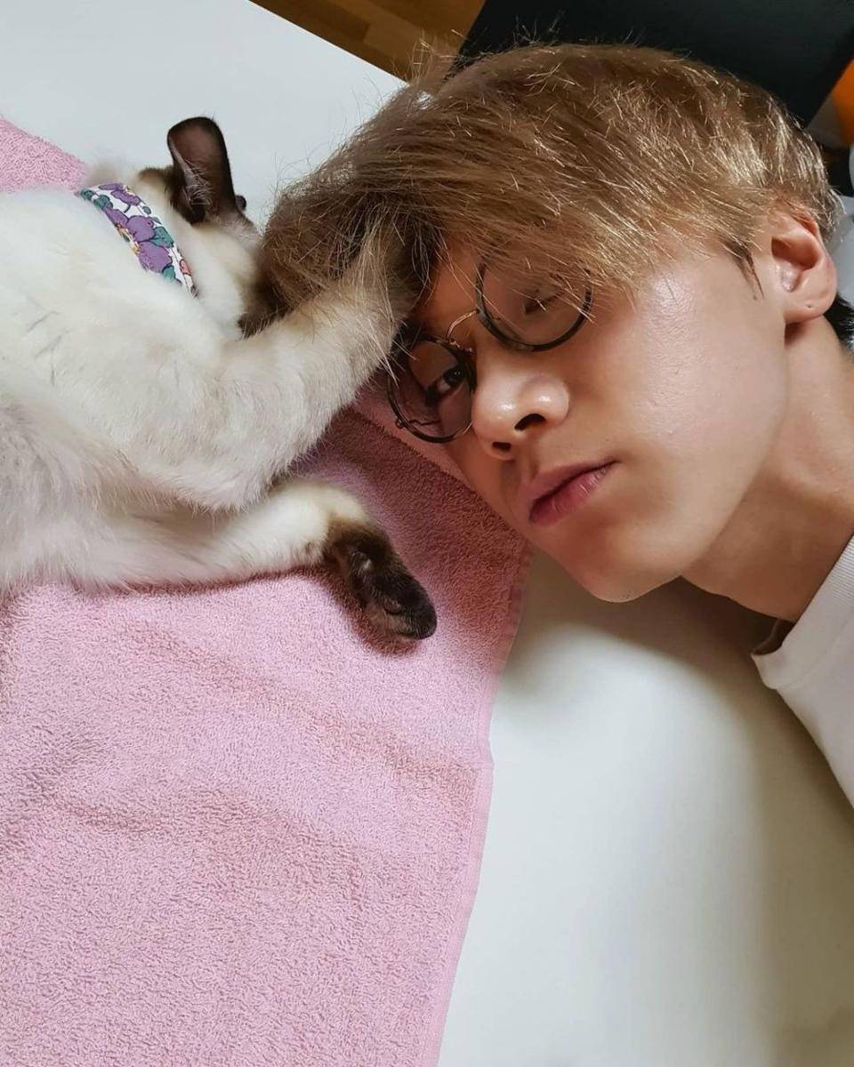 Ten NCT dan kucing peliharaan (instagram.com/tenlee_1001)