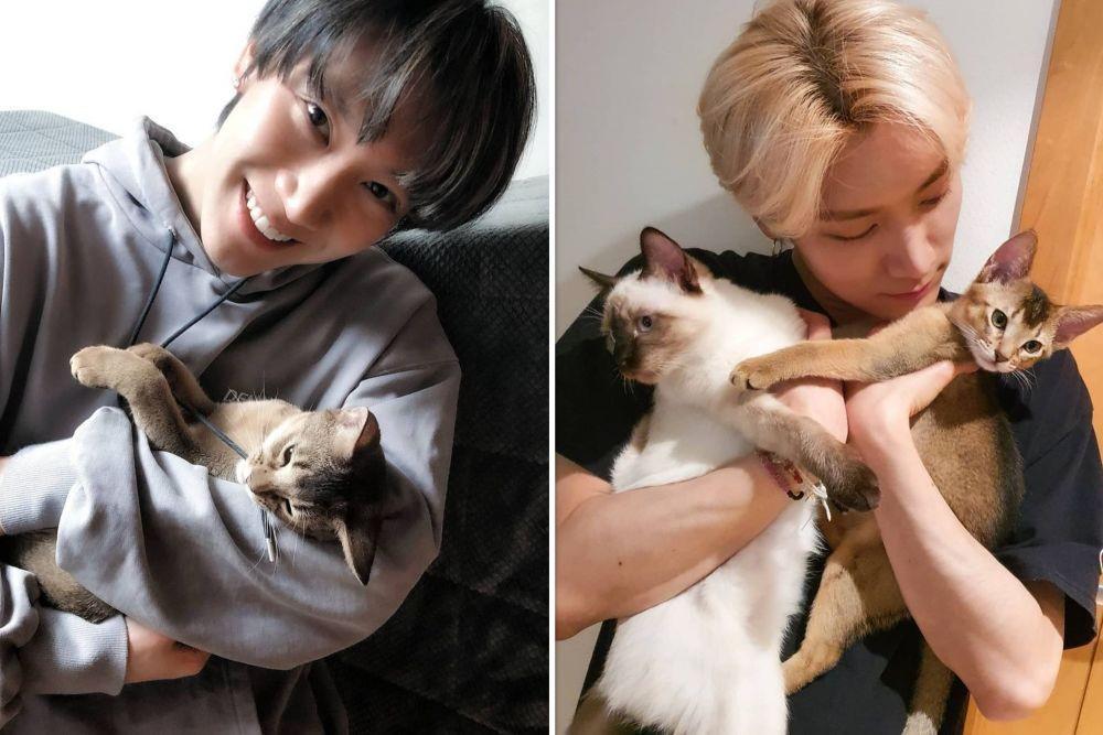 Penyayang Hewan, 10 Potret Ten NCT dengan Kucing Kesayangan