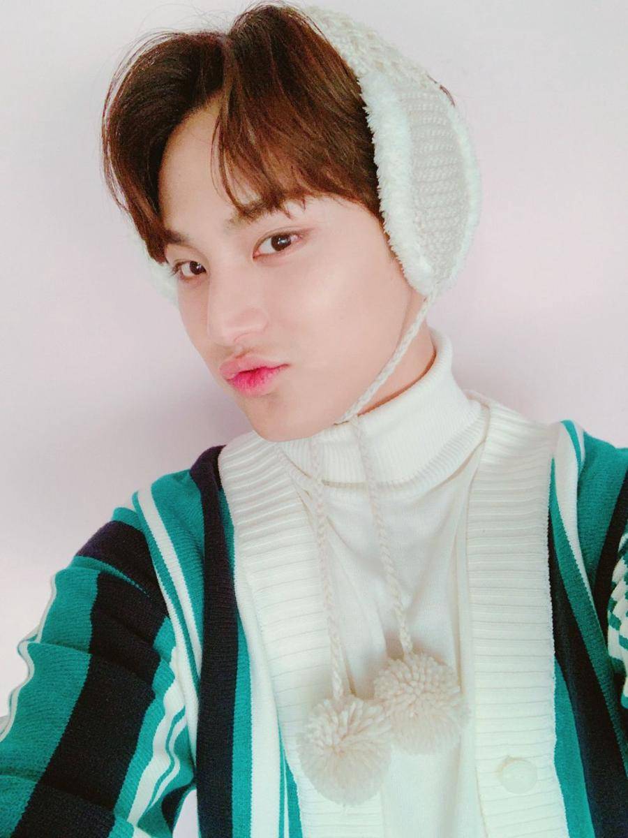twitter.com/pledis_17