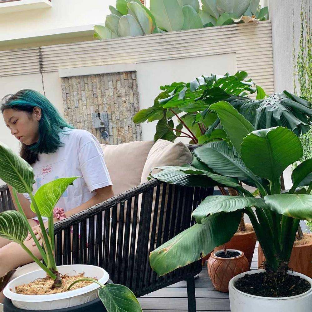 Instagram.com/meisya__siregar