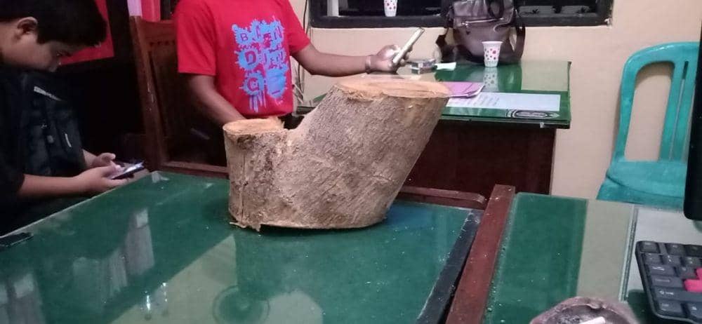 Tebang 18 Pohon Jati, Pria Asal Buleleng Bali Terancam 5 Tahun Penjara