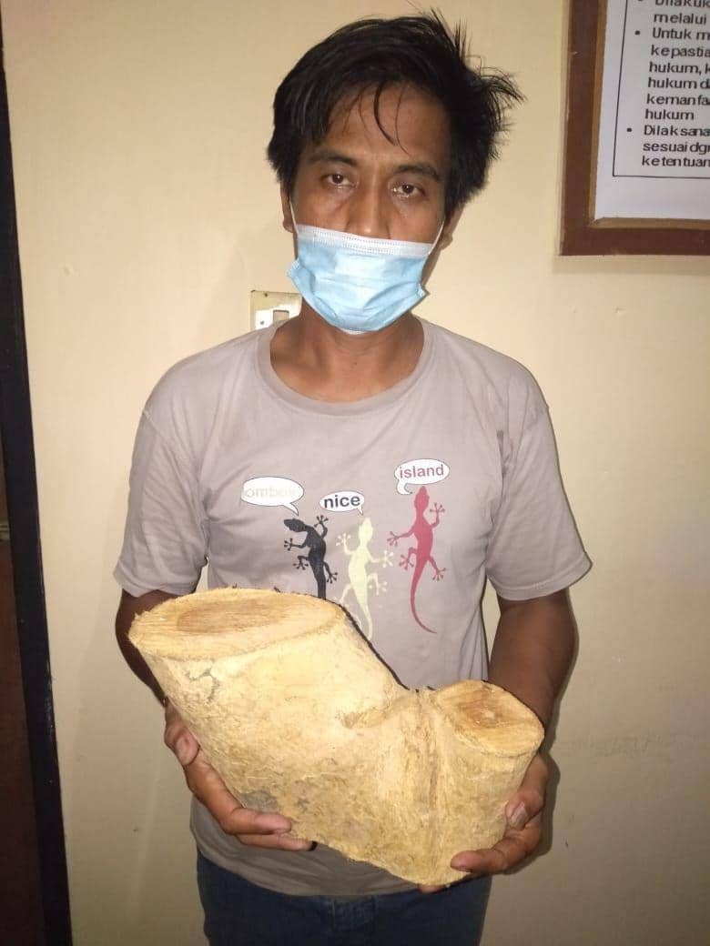 Pelaku dan barang bukti sisa kayu jati yang ditebang (Dok.IDN Times/Polres Buleleng)