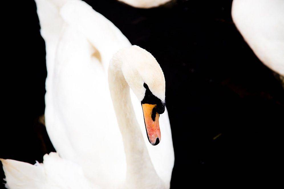 unsplash.com/billythegeek