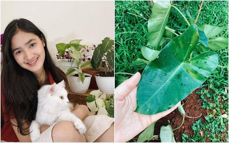 instagram.com/cutsyifaa