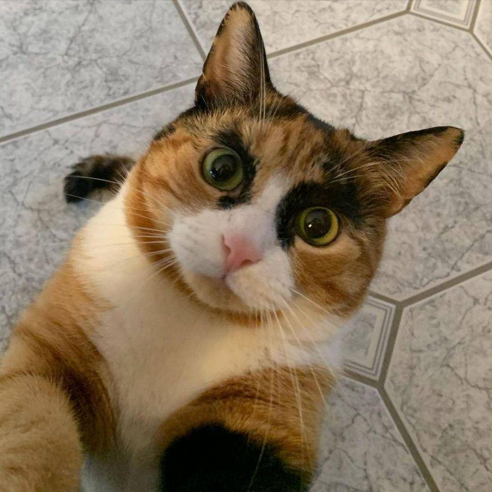 Instagram.com/lilly_crazyeyes