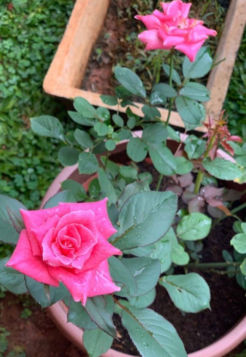 instagram.com/cutsyifaa