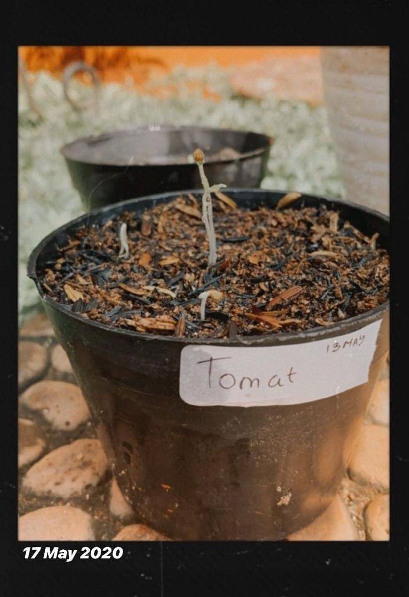 instagram.com/cutsyifaa