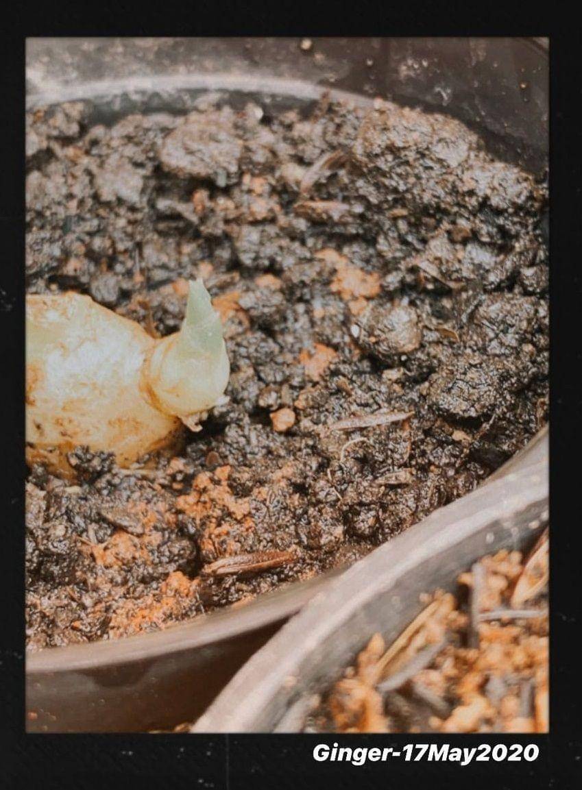 instagram.com/cutsyifaa