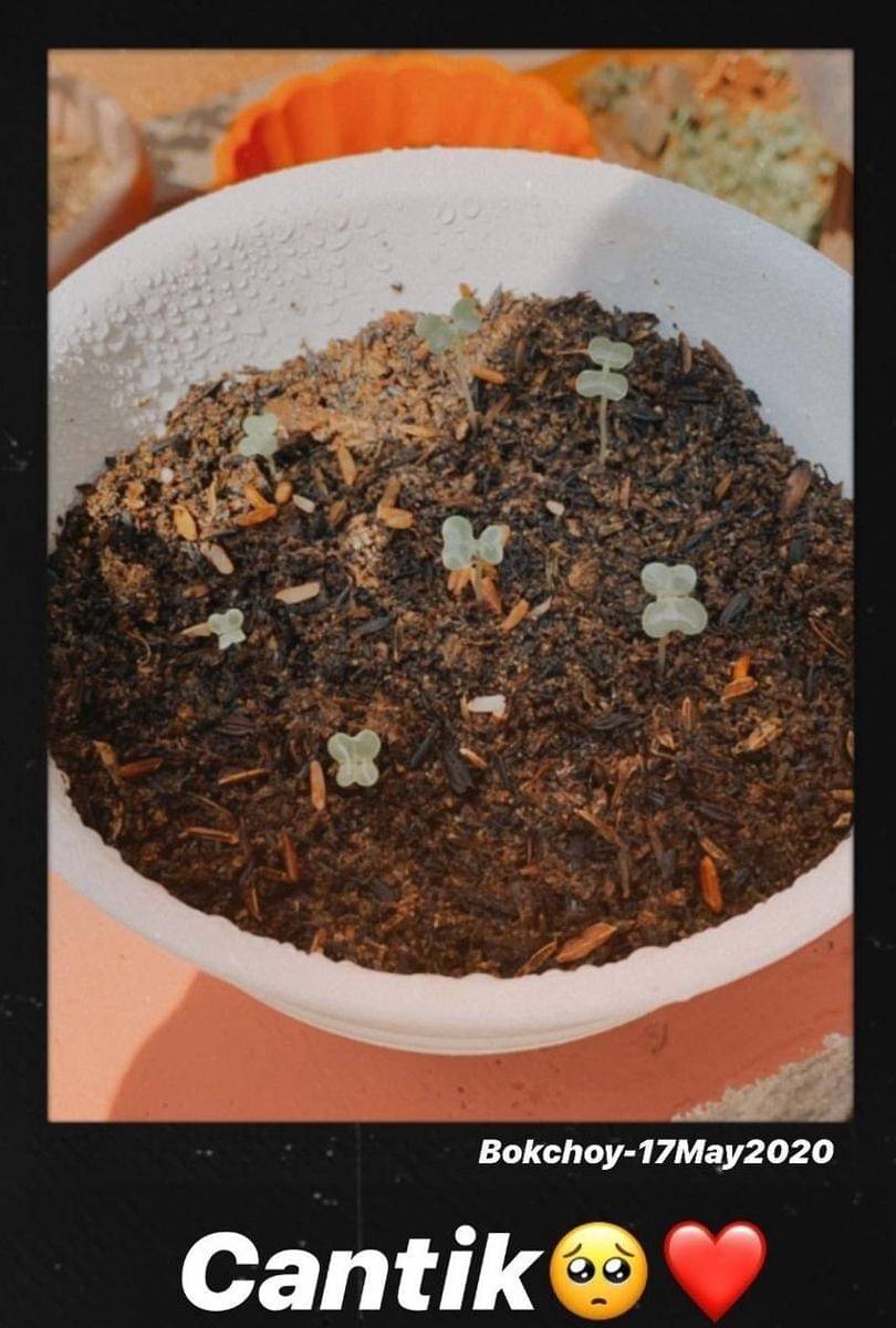 instagram.com/cutsyifaa