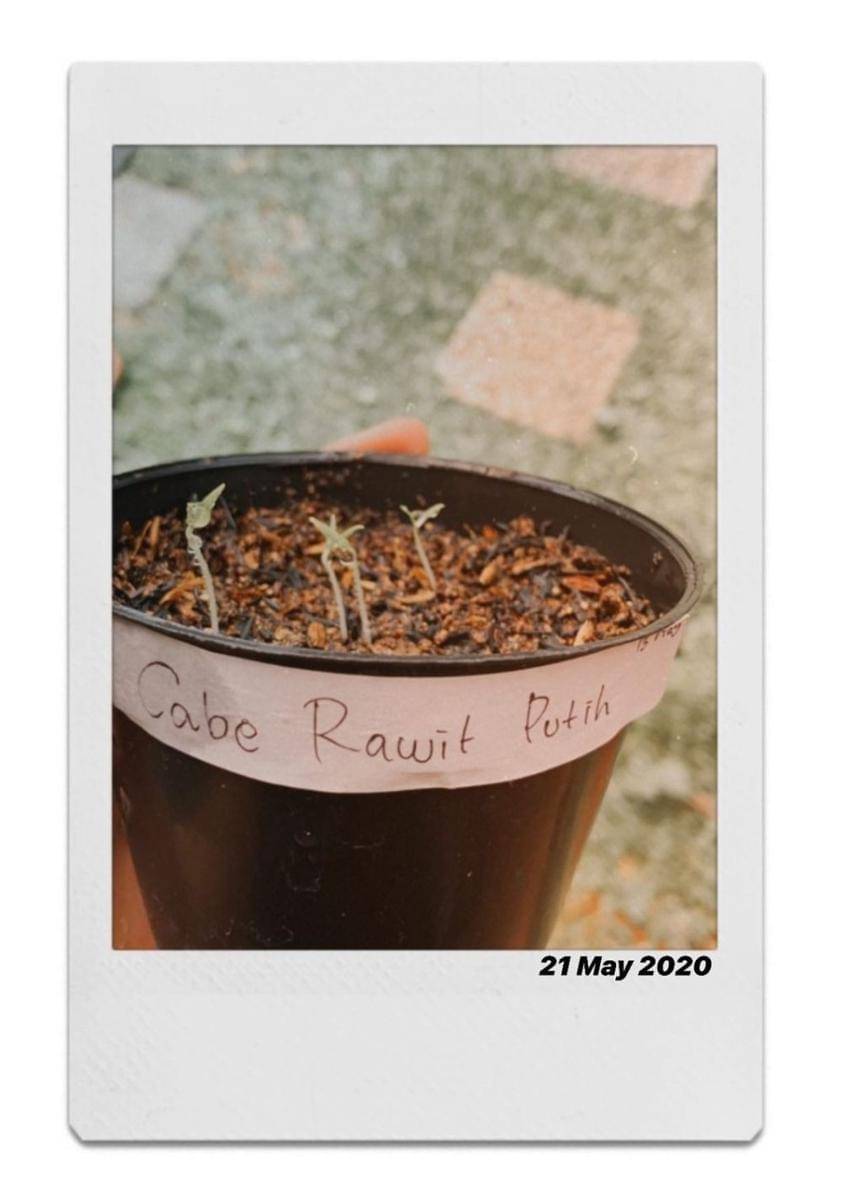 instagram.com/cutsyifaa