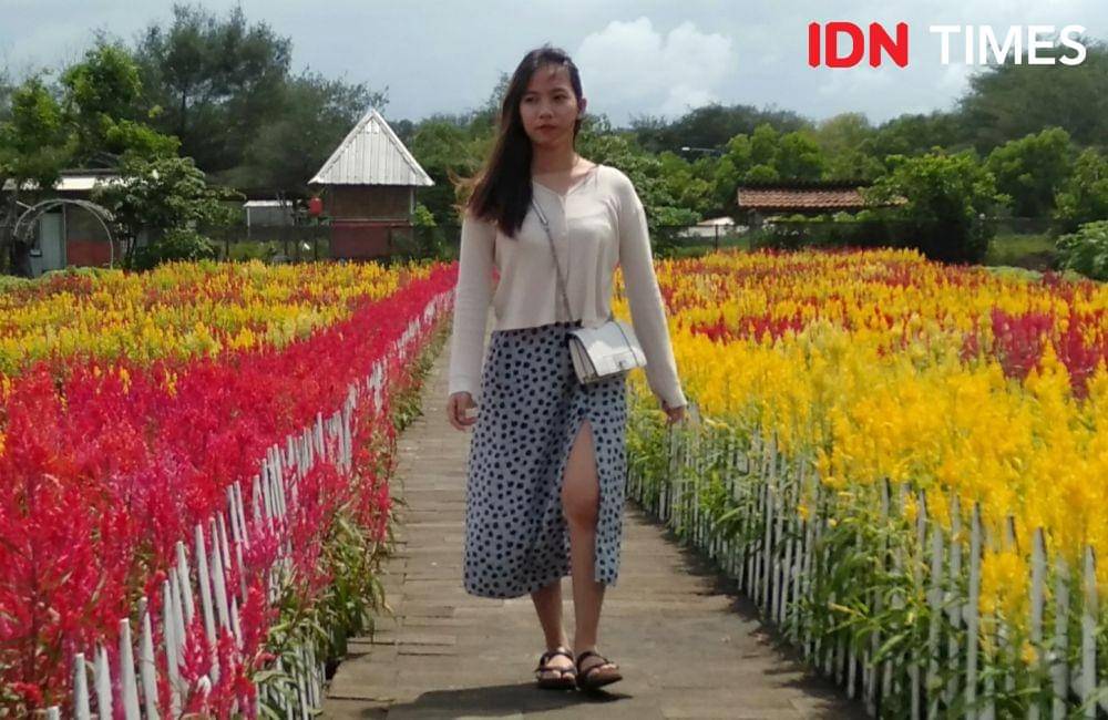 Kebun bunga Romantic Garden di Jalur Jalur Jalan Lintas Selatan (JJLS) Dusun Wonoroto, Desa Gadingsari, Kecamatan Sanden, Kabupaten Bantul. IDN Times/Daruwaskita