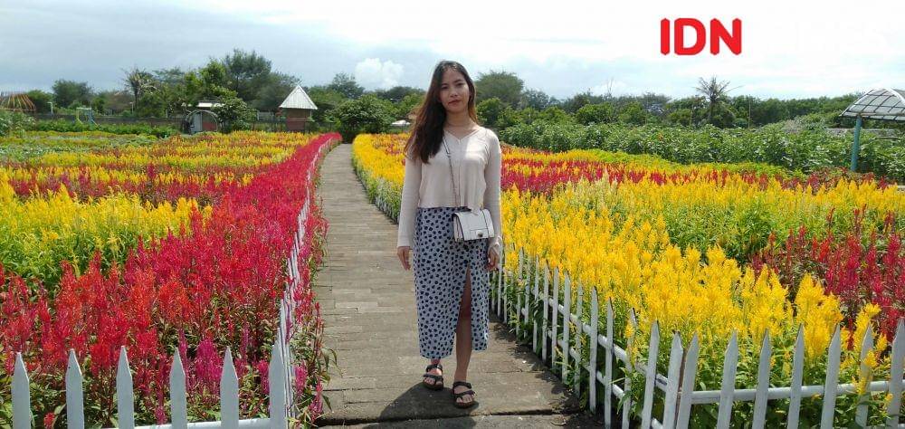 Kebun bunga Romantic Garden di Jalur Jalur Jalan Lintas Selatan (JJLS) Dusun Wonoroto, Desa Gadingsari, Kecamatan Sanden, Kabupaten Bantul. IDN Times/Daruwaskita
