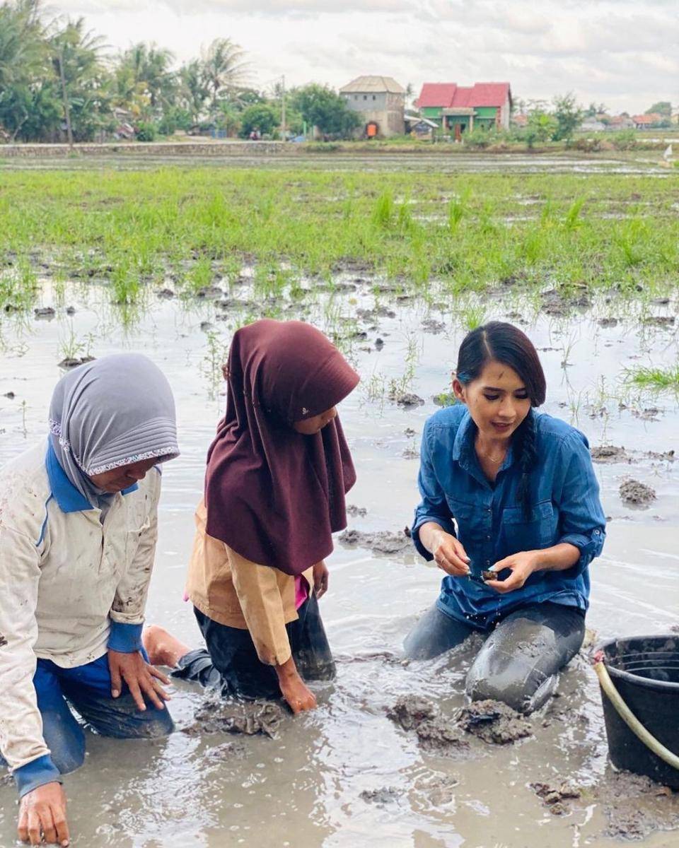 Instagram.com/sorayarasyid12