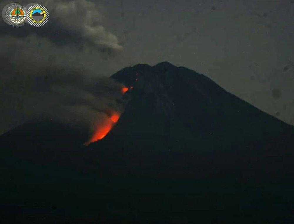 Semeru Keluarkan Guguran Awan Panas, Ratusan Warga Lumajang Mengungsi