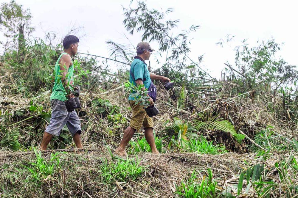 Masyarakat Desa Martelu di Kecamatan Sibolangit melakukan aksi gotong-royong berupa penanaman pohon di areal tanah ulayat masyarakat Desa Martelu (Dok. IDN Times)