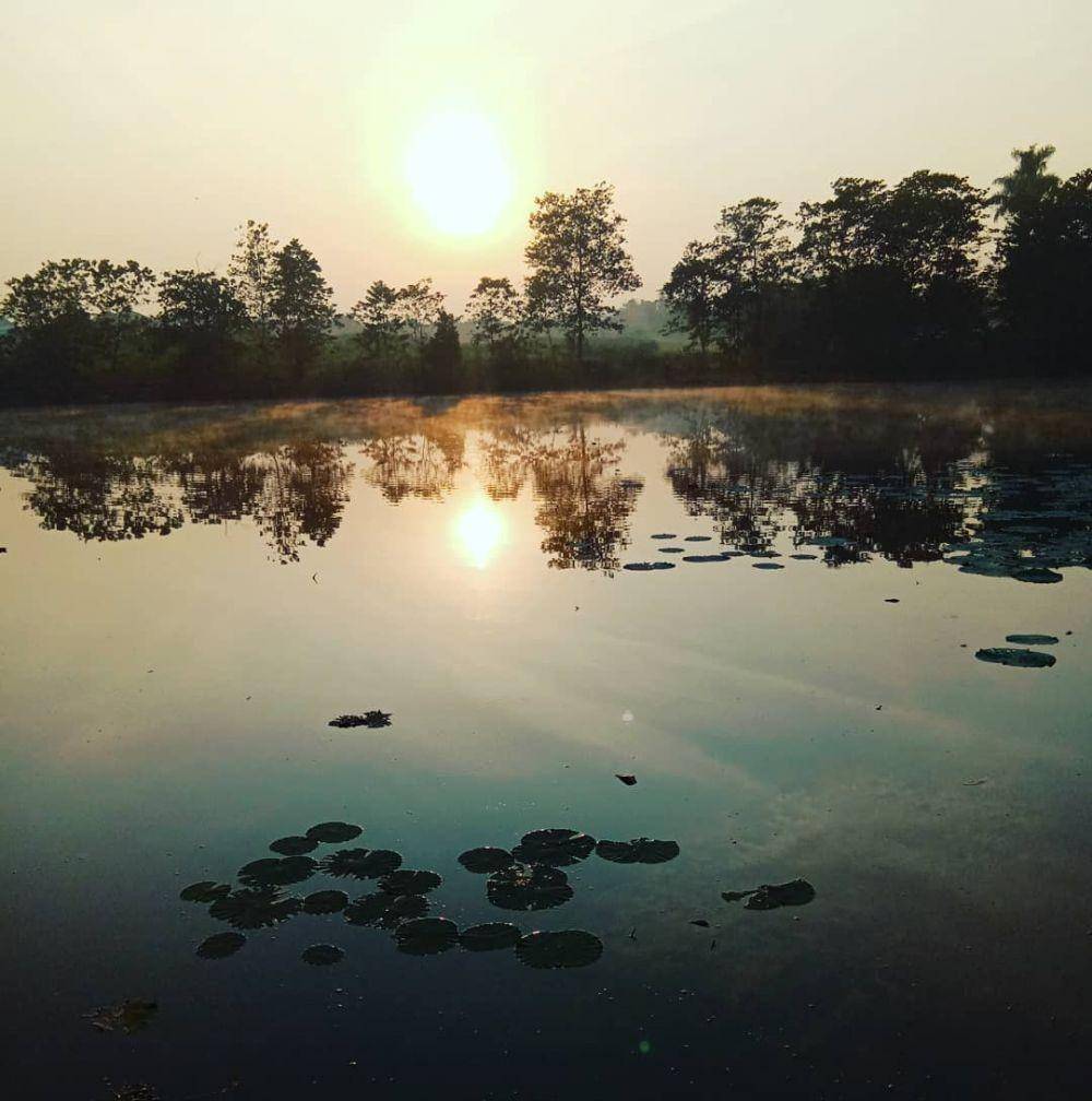 instagram.com/komet103