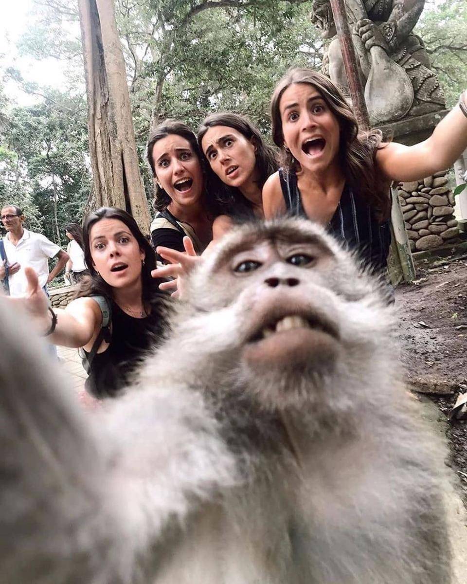 Suasana di Ubud Monkey Forest (instagram.com/elene_ad)