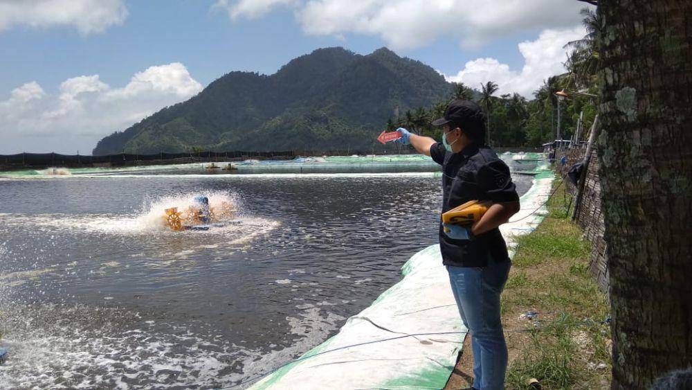 Polisi tunjukkan lokasi tambak udang milik tersangka, IDN Times/ istimewa