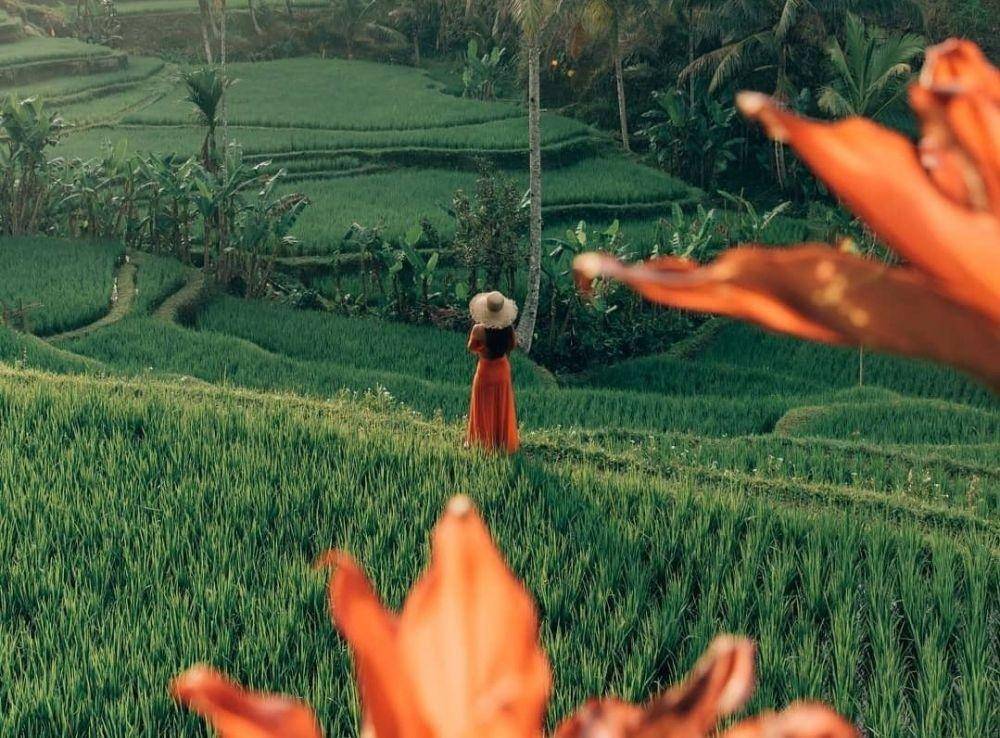 Suasana di Tegalalang Bali (instagram.com/oneworldjustgo⁠⁠)