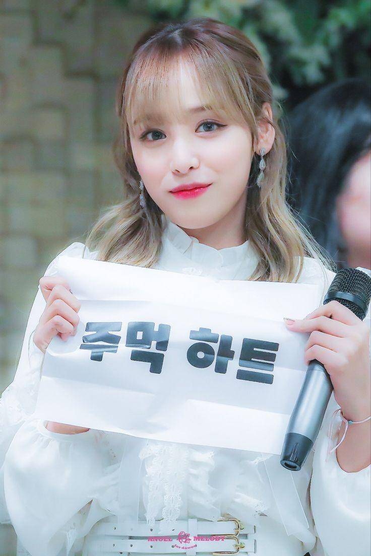 twitter.com/flowerjwon