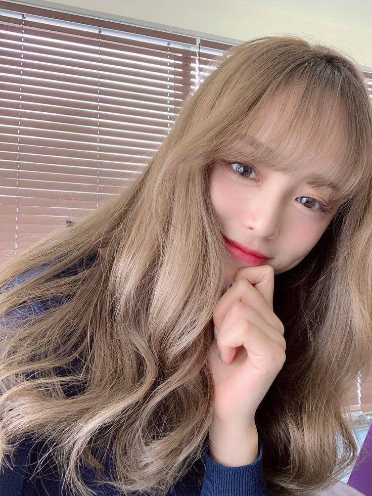 twitter.com/flowerjwon