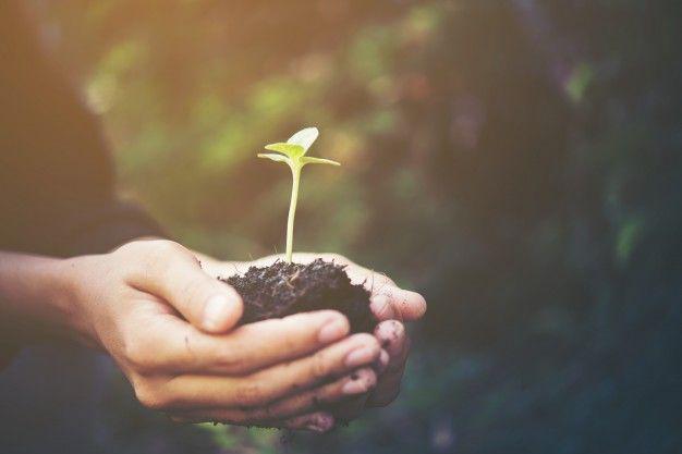 5 Nasihat di Balik Peribahasa Jawa 'Wong Nandur Mesti Ngunduh'