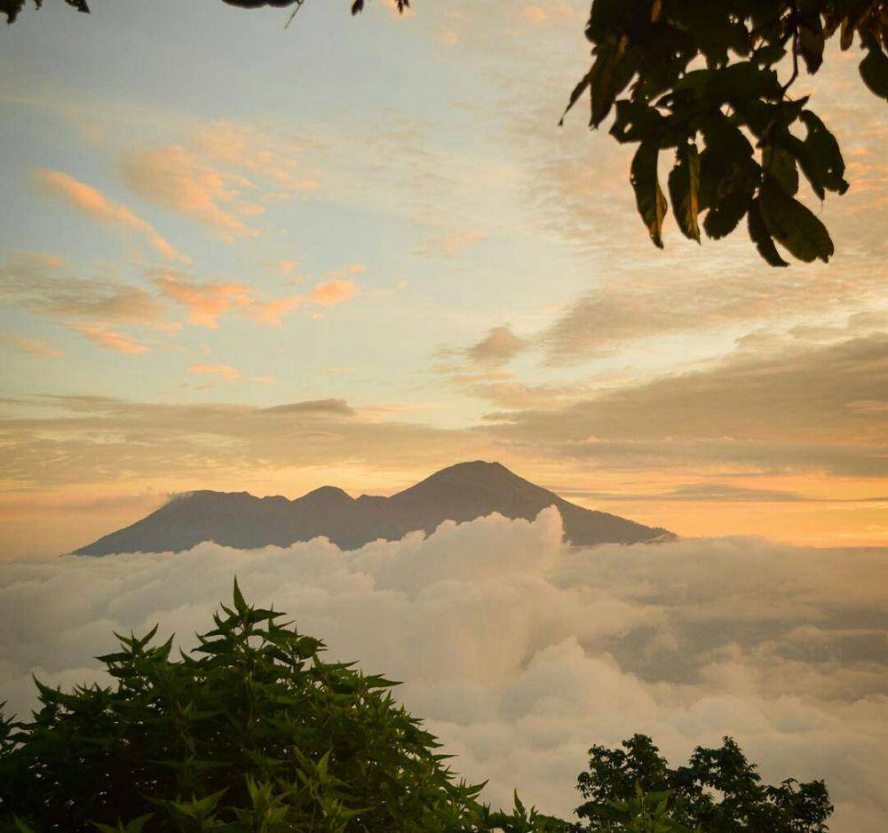 instagram.com/doniputraprtm