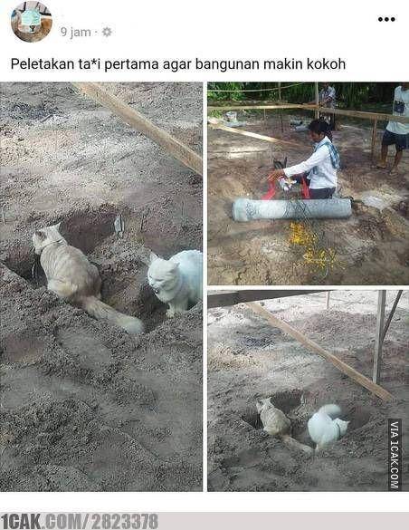 1cak.com