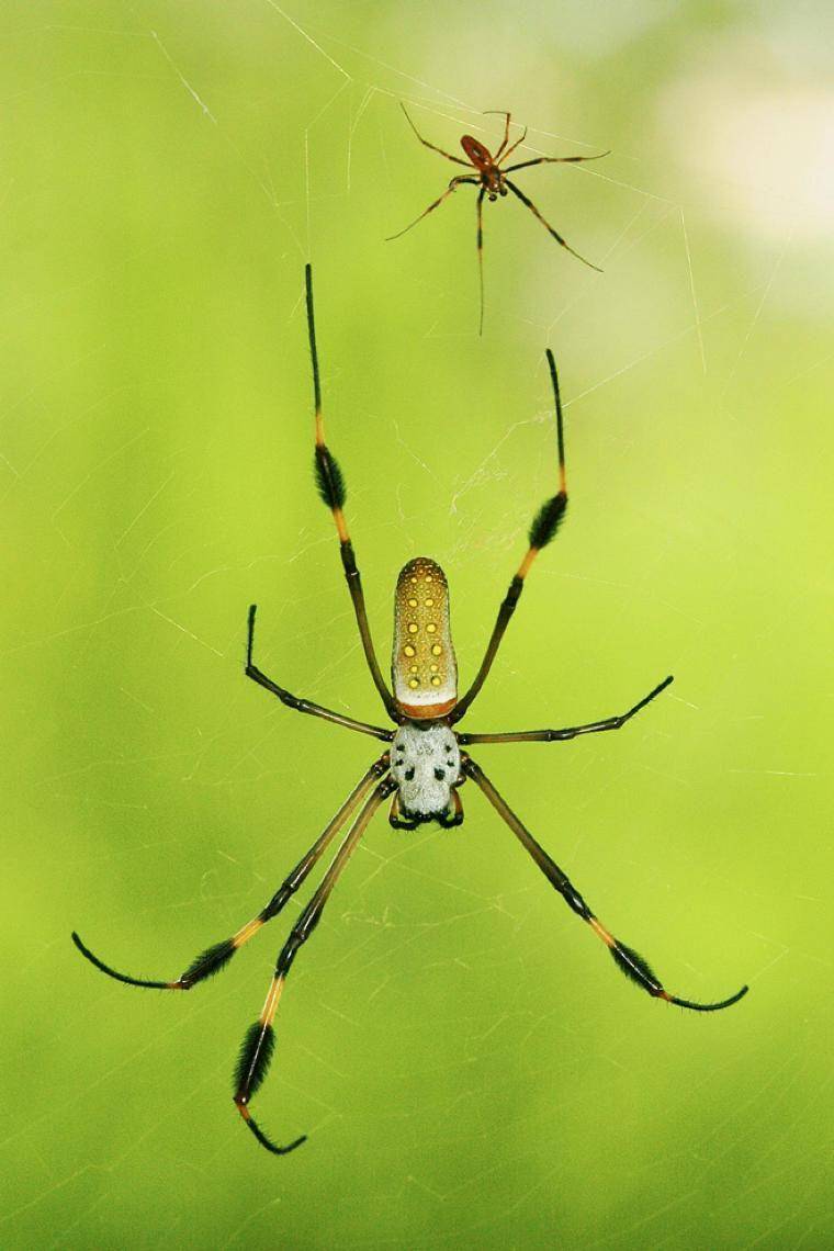 nationalgeographic.com