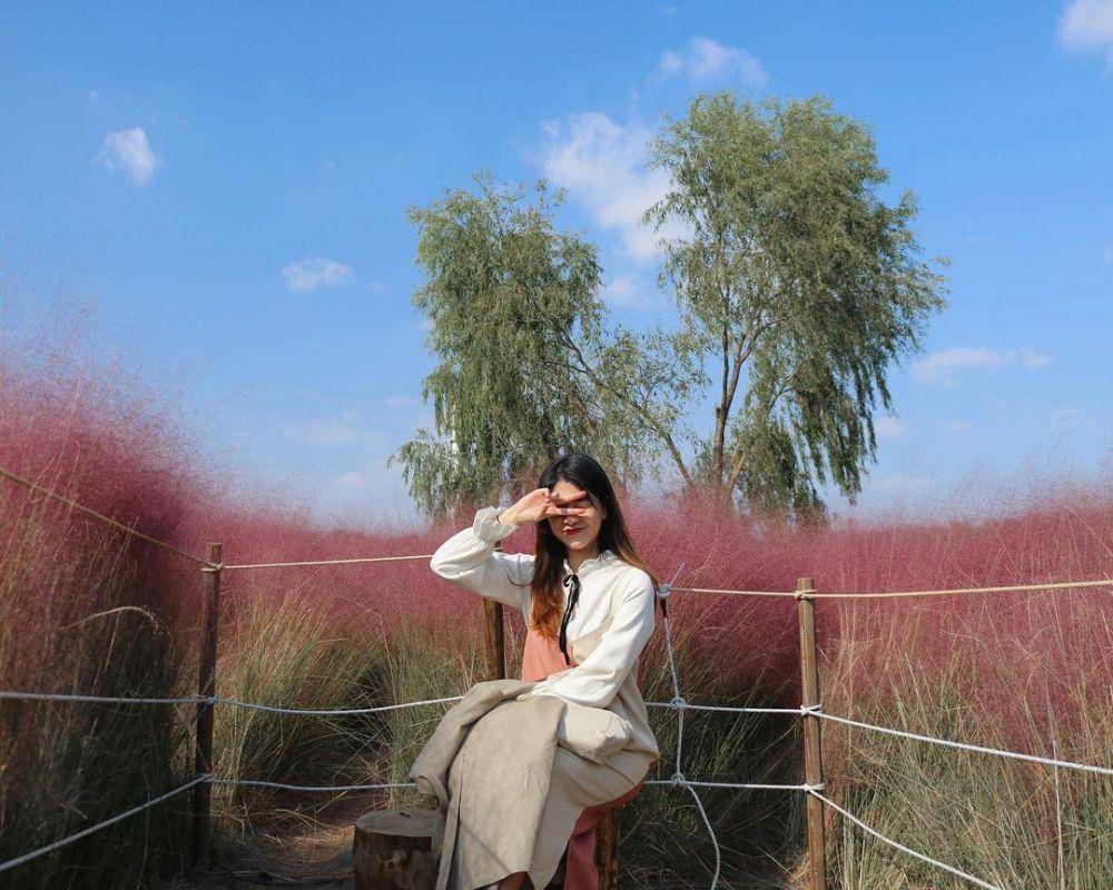 Instagram.com/amelia_tantono