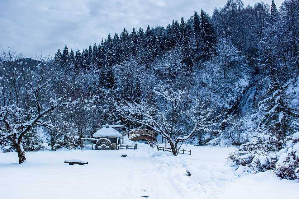 pixabay/ara0w0ara