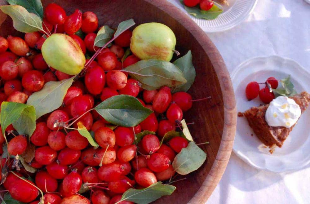 5 Ide Kudapan dari Crabapple, Buah Apel Mini Seukuran Ceri yang Segar!