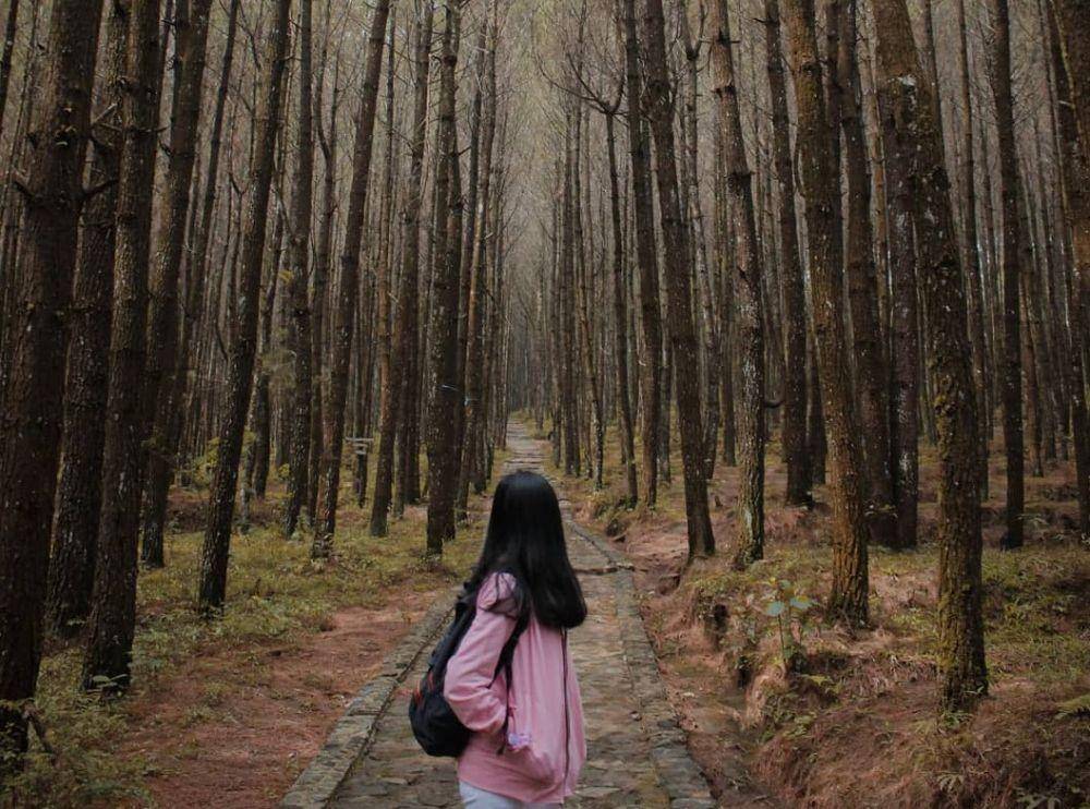 instagram.com/kagamilens