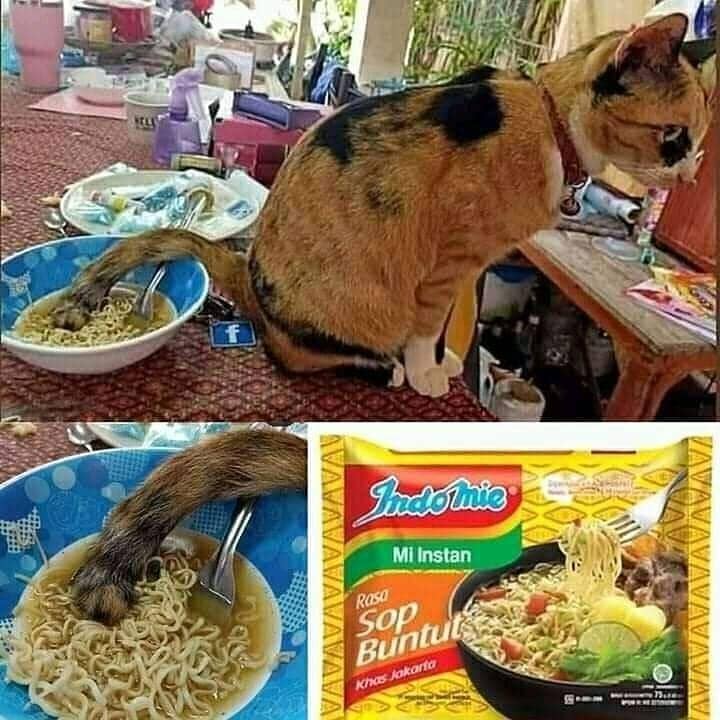 Instagram.com/explorememe.id