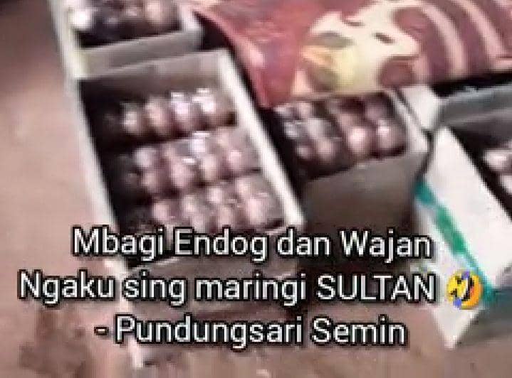 Nama Sultan HB X Dipakai untuk Mendukung Paslon di Gunungkidul