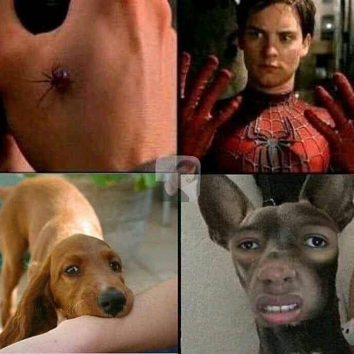 instagram.com/kegoblogangarislucu