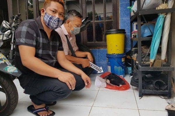 Penggalan kepala kambing yang ditemukan di rumah KIPP Jatim. IDN Times/Dok. Istimewa