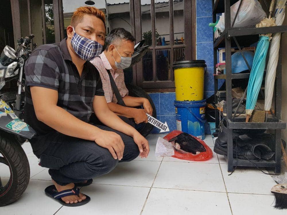 Ada Tulisan "Taman Harmoni 01" di Teror Kepala Kambing, Apa Artinya?