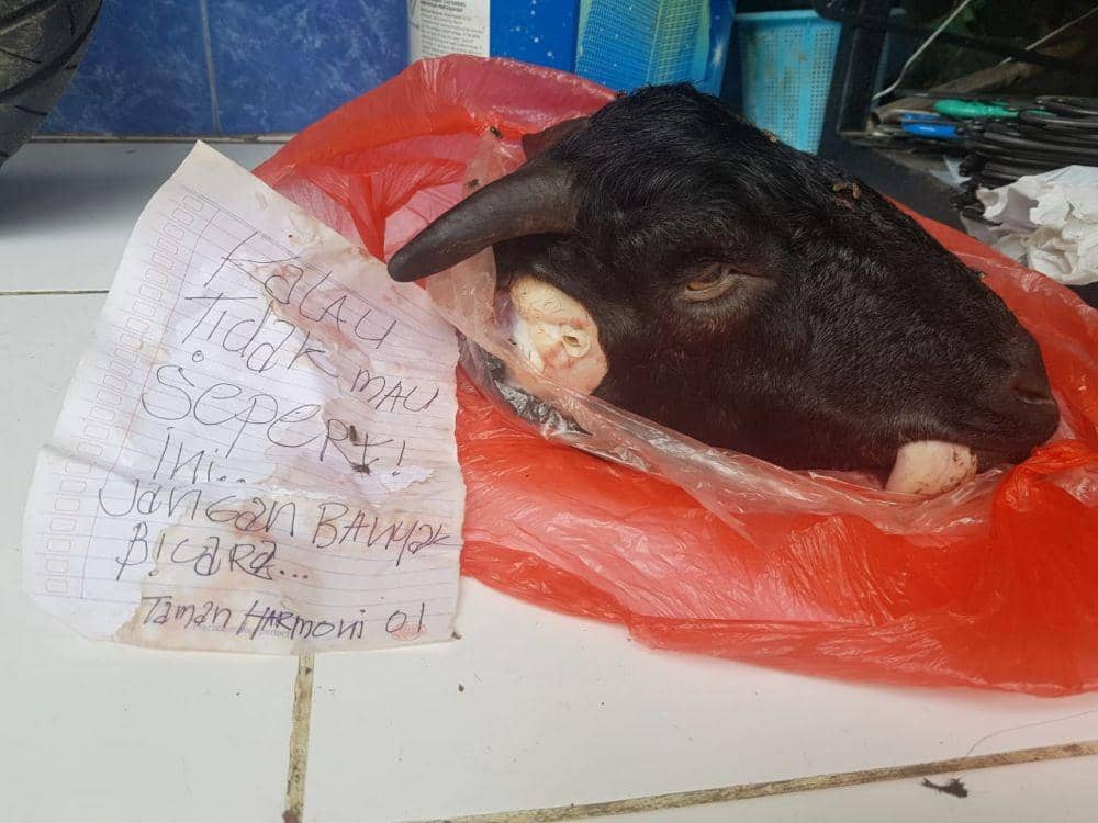 Penggalan kepala kambing yang ditemukan di rumah KIPP Jatim. IDN Times/Dok. Istimewa