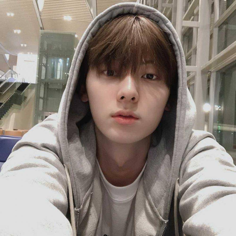 instagram.com/optimushwang