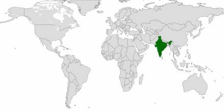Relivearth.com
