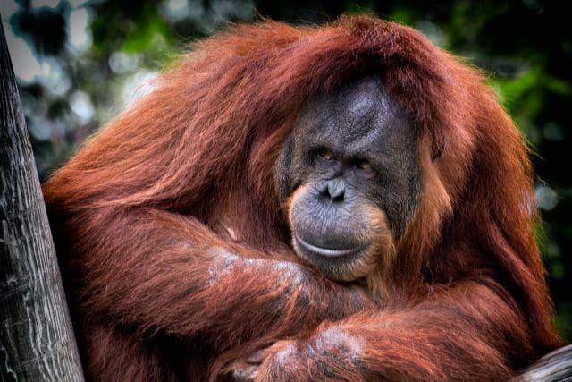 unsplash.com/Dawn Armfield