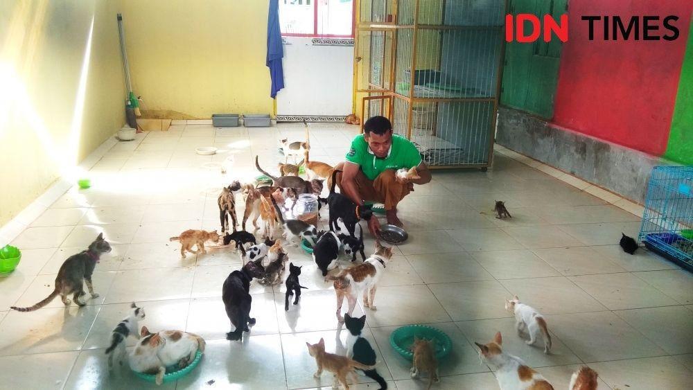 Mengenal Mances, Si Ayah Ratusan Kucing Telantar di Gorontalo