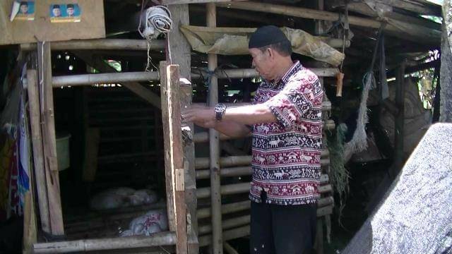 Dok. IDN Times/Mursan